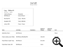 Log Audit